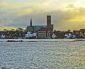 Månedens artikel – November 2017